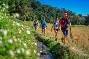 BIB: 
                            <button type="button" onclick="openModal(26623758)" class="btn btn-primary btn-sm float-right btn-popup" data-toggle="modal" data-target=".modal-high-quality">
                        <i class="fas fa-shopping-cart"></i> Add to Cart
                    </button>
                                            <button type="button" onclick="isThisMe(26623758, true)" class="btn btn-success btn-sm float-right btn-popup btn-isme hidden" data-toggle="tooltip" data-placement="bottom" title="นี่คือรูปของคุณใช่ไหม คลิกที่นี่เพื่อเอาเข้าอัลบั้ม">
                        <i class="fas fa-plus"></i> Add to album
                    </button>
                    <button type="button" onclick="isThisMe(26623758, false)" class="btn btn-warning btn-sm float-right btn-popup btn-isnotme hidden">
                        <i class="fas fa-ban"></i> Remove from album
                    </button>