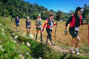 BIB: 
                            <button type="button" onclick="openModal(26631655)" class="btn btn-primary btn-sm float-right btn-popup" data-toggle="modal" data-target=".modal-high-quality">
                        <i class="fas fa-shopping-cart"></i> Add to Cart
                    </button>
                                            <button type="button" onclick="isThisMe(26631655, true)" class="btn btn-success btn-sm float-right btn-popup btn-isme hidden" data-toggle="tooltip" data-placement="bottom" title="นี่คือรูปของคุณใช่ไหม คลิกที่นี่เพื่อเอาเข้าอัลบั้ม">
                        <i class="fas fa-plus"></i> Add to album
                    </button>
                    <button type="button" onclick="isThisMe(26631655, false)" class="btn btn-warning btn-sm float-right btn-popup btn-isnotme hidden">
                        <i class="fas fa-ban"></i> Remove from album
                    </button>