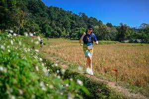 BIB: 
                            <button type="button" onclick="openModal(26634015)" class="btn btn-primary btn-sm float-right btn-popup" data-toggle="modal" data-target=".modal-high-quality">
                        <i class="fas fa-shopping-cart"></i> Add to Cart
                    </button>
                                            <button type="button" onclick="isThisMe(26634015, true)" class="btn btn-success btn-sm float-right btn-popup btn-isme hidden" data-toggle="tooltip" data-placement="bottom" title="นี่คือรูปของคุณใช่ไหม คลิกที่นี่เพื่อเอาเข้าอัลบั้ม">
                        <i class="fas fa-plus"></i> Add to album
                    </button>
                    <button type="button" onclick="isThisMe(26634015, false)" class="btn btn-warning btn-sm float-right btn-popup btn-isnotme hidden">
                        <i class="fas fa-ban"></i> Remove from album
                    </button>