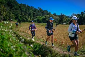 BIB: 
                            <button type="button" onclick="openModal(26624250)" class="btn btn-primary btn-sm float-right btn-popup" data-toggle="modal" data-target=".modal-high-quality">
                        <i class="fas fa-shopping-cart"></i> Add to Cart
                    </button>
                                            <button type="button" onclick="isThisMe(26624250, true)" class="btn btn-success btn-sm float-right btn-popup btn-isme hidden" data-toggle="tooltip" data-placement="bottom" title="นี่คือรูปของคุณใช่ไหม คลิกที่นี่เพื่อเอาเข้าอัลบั้ม">
                        <i class="fas fa-plus"></i> Add to album
                    </button>
                    <button type="button" onclick="isThisMe(26624250, false)" class="btn btn-warning btn-sm float-right btn-popup btn-isnotme hidden">
                        <i class="fas fa-ban"></i> Remove from album
                    </button>