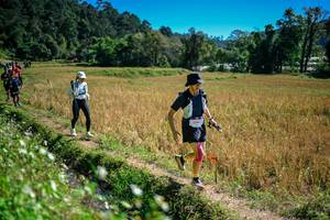 BIB: 
                            <button type="button" onclick="openModal(26623887)" class="btn btn-primary btn-sm float-right btn-popup" data-toggle="modal" data-target=".modal-high-quality">
                        <i class="fas fa-shopping-cart"></i> Add to Cart
                    </button>
                                            <button type="button" onclick="isThisMe(26623887, true)" class="btn btn-success btn-sm float-right btn-popup btn-isme hidden" data-toggle="tooltip" data-placement="bottom" title="นี่คือรูปของคุณใช่ไหม คลิกที่นี่เพื่อเอาเข้าอัลบั้ม">
                        <i class="fas fa-plus"></i> Add to album
                    </button>
                    <button type="button" onclick="isThisMe(26623887, false)" class="btn btn-warning btn-sm float-right btn-popup btn-isnotme hidden">
                        <i class="fas fa-ban"></i> Remove from album
                    </button>