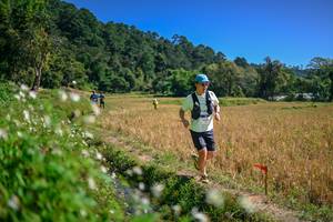 BIB: 
                            <button type="button" onclick="openModal(26632345)" class="btn btn-primary btn-sm float-right btn-popup" data-toggle="modal" data-target=".modal-high-quality">
                        <i class="fas fa-shopping-cart"></i> Add to Cart
                    </button>
                                            <button type="button" onclick="isThisMe(26632345, true)" class="btn btn-success btn-sm float-right btn-popup btn-isme hidden" data-toggle="tooltip" data-placement="bottom" title="นี่คือรูปของคุณใช่ไหม คลิกที่นี่เพื่อเอาเข้าอัลบั้ม">
                        <i class="fas fa-plus"></i> Add to album
                    </button>
                    <button type="button" onclick="isThisMe(26632345, false)" class="btn btn-warning btn-sm float-right btn-popup btn-isnotme hidden">
                        <i class="fas fa-ban"></i> Remove from album
                    </button>