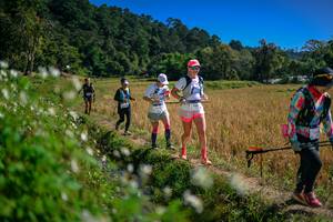 BIB: 
                            <button type="button" onclick="openModal(26624118)" class="btn btn-primary btn-sm float-right btn-popup" data-toggle="modal" data-target=".modal-high-quality">
                        <i class="fas fa-shopping-cart"></i> Add to Cart
                    </button>
                                            <button type="button" onclick="isThisMe(26624118, true)" class="btn btn-success btn-sm float-right btn-popup btn-isme hidden" data-toggle="tooltip" data-placement="bottom" title="นี่คือรูปของคุณใช่ไหม คลิกที่นี่เพื่อเอาเข้าอัลบั้ม">
                        <i class="fas fa-plus"></i> Add to album
                    </button>
                    <button type="button" onclick="isThisMe(26624118, false)" class="btn btn-warning btn-sm float-right btn-popup btn-isnotme hidden">
                        <i class="fas fa-ban"></i> Remove from album
                    </button>