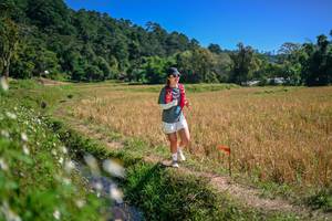 BIB: 
                            <button type="button" onclick="openModal(26632795)" class="btn btn-primary btn-sm float-right btn-popup" data-toggle="modal" data-target=".modal-high-quality">
                        <i class="fas fa-shopping-cart"></i> Add to Cart
                    </button>
                                            <button type="button" onclick="isThisMe(26632795, true)" class="btn btn-success btn-sm float-right btn-popup btn-isme hidden" data-toggle="tooltip" data-placement="bottom" title="นี่คือรูปของคุณใช่ไหม คลิกที่นี่เพื่อเอาเข้าอัลบั้ม">
                        <i class="fas fa-plus"></i> Add to album
                    </button>
                    <button type="button" onclick="isThisMe(26632795, false)" class="btn btn-warning btn-sm float-right btn-popup btn-isnotme hidden">
                        <i class="fas fa-ban"></i> Remove from album
                    </button>