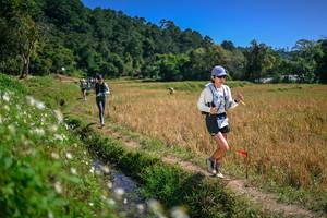 BIB: 
                            <button type="button" onclick="openModal(26624952)" class="btn btn-primary btn-sm float-right btn-popup" data-toggle="modal" data-target=".modal-high-quality">
                        <i class="fas fa-shopping-cart"></i> Add to Cart
                    </button>
                                            <button type="button" onclick="isThisMe(26624952, true)" class="btn btn-success btn-sm float-right btn-popup btn-isme hidden" data-toggle="tooltip" data-placement="bottom" title="นี่คือรูปของคุณใช่ไหม คลิกที่นี่เพื่อเอาเข้าอัลบั้ม">
                        <i class="fas fa-plus"></i> Add to album
                    </button>
                    <button type="button" onclick="isThisMe(26624952, false)" class="btn btn-warning btn-sm float-right btn-popup btn-isnotme hidden">
                        <i class="fas fa-ban"></i> Remove from album
                    </button>