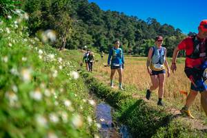 BIB: 
                            <button type="button" onclick="openModal(26623755)" class="btn btn-primary btn-sm float-right btn-popup" data-toggle="modal" data-target=".modal-high-quality">
                        <i class="fas fa-shopping-cart"></i> Add to Cart
                    </button>
                                            <button type="button" onclick="isThisMe(26623755, true)" class="btn btn-success btn-sm float-right btn-popup btn-isme hidden" data-toggle="tooltip" data-placement="bottom" title="นี่คือรูปของคุณใช่ไหม คลิกที่นี่เพื่อเอาเข้าอัลบั้ม">
                        <i class="fas fa-plus"></i> Add to album
                    </button>
                    <button type="button" onclick="isThisMe(26623755, false)" class="btn btn-warning btn-sm float-right btn-popup btn-isnotme hidden">
                        <i class="fas fa-ban"></i> Remove from album
                    </button>