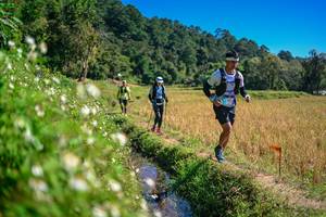 BIB: 
                            <button type="button" onclick="openModal(26623781)" class="btn btn-primary btn-sm float-right btn-popup" data-toggle="modal" data-target=".modal-high-quality">
                        <i class="fas fa-shopping-cart"></i> Add to Cart
                    </button>
                                            <button type="button" onclick="isThisMe(26623781, true)" class="btn btn-success btn-sm float-right btn-popup btn-isme hidden" data-toggle="tooltip" data-placement="bottom" title="นี่คือรูปของคุณใช่ไหม คลิกที่นี่เพื่อเอาเข้าอัลบั้ม">
                        <i class="fas fa-plus"></i> Add to album
                    </button>
                    <button type="button" onclick="isThisMe(26623781, false)" class="btn btn-warning btn-sm float-right btn-popup btn-isnotme hidden">
                        <i class="fas fa-ban"></i> Remove from album
                    </button>