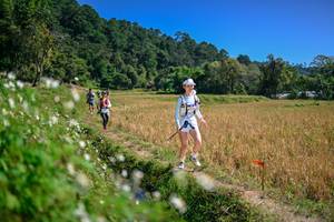 BIB: 
                            <button type="button" onclick="openModal(26633805)" class="btn btn-primary btn-sm float-right btn-popup" data-toggle="modal" data-target=".modal-high-quality">
                        <i class="fas fa-shopping-cart"></i> Add to Cart
                    </button>
                                            <button type="button" onclick="isThisMe(26633805, true)" class="btn btn-success btn-sm float-right btn-popup btn-isme hidden" data-toggle="tooltip" data-placement="bottom" title="นี่คือรูปของคุณใช่ไหม คลิกที่นี่เพื่อเอาเข้าอัลบั้ม">
                        <i class="fas fa-plus"></i> Add to album
                    </button>
                    <button type="button" onclick="isThisMe(26633805, false)" class="btn btn-warning btn-sm float-right btn-popup btn-isnotme hidden">
                        <i class="fas fa-ban"></i> Remove from album
                    </button>