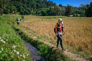 BIB: 
                            <button type="button" onclick="openModal(26632313)" class="btn btn-primary btn-sm float-right btn-popup" data-toggle="modal" data-target=".modal-high-quality">
                        <i class="fas fa-shopping-cart"></i> Add to Cart
                    </button>
                                            <button type="button" onclick="isThisMe(26632313, true)" class="btn btn-success btn-sm float-right btn-popup btn-isme hidden" data-toggle="tooltip" data-placement="bottom" title="นี่คือรูปของคุณใช่ไหม คลิกที่นี่เพื่อเอาเข้าอัลบั้ม">
                        <i class="fas fa-plus"></i> Add to album
                    </button>
                    <button type="button" onclick="isThisMe(26632313, false)" class="btn btn-warning btn-sm float-right btn-popup btn-isnotme hidden">
                        <i class="fas fa-ban"></i> Remove from album
                    </button>