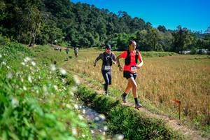 BIB: 
                            <button type="button" onclick="openModal(26623923)" class="btn btn-primary btn-sm float-right btn-popup" data-toggle="modal" data-target=".modal-high-quality">
                        <i class="fas fa-shopping-cart"></i> Add to Cart
                    </button>
                                            <button type="button" onclick="isThisMe(26623923, true)" class="btn btn-success btn-sm float-right btn-popup btn-isme hidden" data-toggle="tooltip" data-placement="bottom" title="นี่คือรูปของคุณใช่ไหม คลิกที่นี่เพื่อเอาเข้าอัลบั้ม">
                        <i class="fas fa-plus"></i> Add to album
                    </button>
                    <button type="button" onclick="isThisMe(26623923, false)" class="btn btn-warning btn-sm float-right btn-popup btn-isnotme hidden">
                        <i class="fas fa-ban"></i> Remove from album
                    </button>