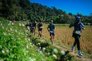 BIB: 
                            <button type="button" onclick="openModal(26623975)" class="btn btn-primary btn-sm float-right btn-popup" data-toggle="modal" data-target=".modal-high-quality">
                        <i class="fas fa-shopping-cart"></i> Add to Cart
                    </button>
                                            <button type="button" onclick="isThisMe(26623975, true)" class="btn btn-success btn-sm float-right btn-popup btn-isme hidden" data-toggle="tooltip" data-placement="bottom" title="นี่คือรูปของคุณใช่ไหม คลิกที่นี่เพื่อเอาเข้าอัลบั้ม">
                        <i class="fas fa-plus"></i> Add to album
                    </button>
                    <button type="button" onclick="isThisMe(26623975, false)" class="btn btn-warning btn-sm float-right btn-popup btn-isnotme hidden">
                        <i class="fas fa-ban"></i> Remove from album
                    </button>