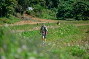 BIB: 
                            <button type="button" onclick="openModal(26770336)" class="btn btn-primary btn-sm float-right btn-popup" data-toggle="modal" data-target=".modal-high-quality">
                        <i class="fas fa-shopping-cart"></i> Add to Cart
                    </button>
                                            <button type="button" onclick="isThisMe(26770336, true)" class="btn btn-success btn-sm float-right btn-popup btn-isme hidden" data-toggle="tooltip" data-placement="bottom" title="นี่คือรูปของคุณใช่ไหม คลิกที่นี่เพื่อเอาเข้าอัลบั้ม">
                        <i class="fas fa-plus"></i> Add to album
                    </button>
                    <button type="button" onclick="isThisMe(26770336, false)" class="btn btn-warning btn-sm float-right btn-popup btn-isnotme hidden">
                        <i class="fas fa-ban"></i> Remove from album
                    </button>