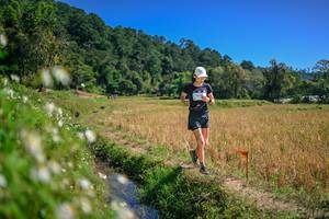 BIB: 
                            <button type="button" onclick="openModal(26632195)" class="btn btn-primary btn-sm float-right btn-popup" data-toggle="modal" data-target=".modal-high-quality">
                        <i class="fas fa-shopping-cart"></i> Add to Cart
                    </button>
                                            <button type="button" onclick="isThisMe(26632195, true)" class="btn btn-success btn-sm float-right btn-popup btn-isme hidden" data-toggle="tooltip" data-placement="bottom" title="นี่คือรูปของคุณใช่ไหม คลิกที่นี่เพื่อเอาเข้าอัลบั้ม">
                        <i class="fas fa-plus"></i> Add to album
                    </button>
                    <button type="button" onclick="isThisMe(26632195, false)" class="btn btn-warning btn-sm float-right btn-popup btn-isnotme hidden">
                        <i class="fas fa-ban"></i> Remove from album
                    </button>