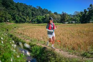 BIB: 
                            <button type="button" onclick="openModal(26632809)" class="btn btn-primary btn-sm float-right btn-popup" data-toggle="modal" data-target=".modal-high-quality">
                        <i class="fas fa-shopping-cart"></i> Add to Cart
                    </button>
                                            <button type="button" onclick="isThisMe(26632809, true)" class="btn btn-success btn-sm float-right btn-popup btn-isme hidden" data-toggle="tooltip" data-placement="bottom" title="นี่คือรูปของคุณใช่ไหม คลิกที่นี่เพื่อเอาเข้าอัลบั้ม">
                        <i class="fas fa-plus"></i> Add to album
                    </button>
                    <button type="button" onclick="isThisMe(26632809, false)" class="btn btn-warning btn-sm float-right btn-popup btn-isnotme hidden">
                        <i class="fas fa-ban"></i> Remove from album
                    </button>