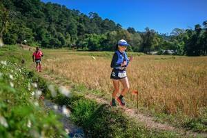 BIB: 
                            <button type="button" onclick="openModal(26632727)" class="btn btn-primary btn-sm float-right btn-popup" data-toggle="modal" data-target=".modal-high-quality">
                        <i class="fas fa-shopping-cart"></i> Add to Cart
                    </button>
                                            <button type="button" onclick="isThisMe(26632727, true)" class="btn btn-success btn-sm float-right btn-popup btn-isme hidden" data-toggle="tooltip" data-placement="bottom" title="นี่คือรูปของคุณใช่ไหม คลิกที่นี่เพื่อเอาเข้าอัลบั้ม">
                        <i class="fas fa-plus"></i> Add to album
                    </button>
                    <button type="button" onclick="isThisMe(26632727, false)" class="btn btn-warning btn-sm float-right btn-popup btn-isnotme hidden">
                        <i class="fas fa-ban"></i> Remove from album
                    </button>