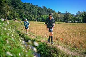 BIB: 
                            <button type="button" onclick="openModal(26631568)" class="btn btn-primary btn-sm float-right btn-popup" data-toggle="modal" data-target=".modal-high-quality">
                        <i class="fas fa-shopping-cart"></i> Add to Cart
                    </button>
                                            <button type="button" onclick="isThisMe(26631568, true)" class="btn btn-success btn-sm float-right btn-popup btn-isme hidden" data-toggle="tooltip" data-placement="bottom" title="นี่คือรูปของคุณใช่ไหม คลิกที่นี่เพื่อเอาเข้าอัลบั้ม">
                        <i class="fas fa-plus"></i> Add to album
                    </button>
                    <button type="button" onclick="isThisMe(26631568, false)" class="btn btn-warning btn-sm float-right btn-popup btn-isnotme hidden">
                        <i class="fas fa-ban"></i> Remove from album
                    </button>