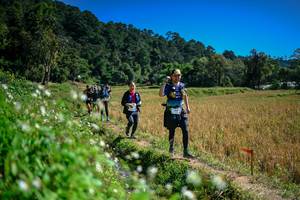 BIB: 
                            <button type="button" onclick="openModal(26623948)" class="btn btn-primary btn-sm float-right btn-popup" data-toggle="modal" data-target=".modal-high-quality">
                        <i class="fas fa-shopping-cart"></i> Add to Cart
                    </button>
                                            <button type="button" onclick="isThisMe(26623948, true)" class="btn btn-success btn-sm float-right btn-popup btn-isme hidden" data-toggle="tooltip" data-placement="bottom" title="นี่คือรูปของคุณใช่ไหม คลิกที่นี่เพื่อเอาเข้าอัลบั้ม">
                        <i class="fas fa-plus"></i> Add to album
                    </button>
                    <button type="button" onclick="isThisMe(26623948, false)" class="btn btn-warning btn-sm float-right btn-popup btn-isnotme hidden">
                        <i class="fas fa-ban"></i> Remove from album
                    </button>