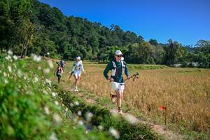 BIB: 
                            <button type="button" onclick="openModal(26633792)" class="btn btn-primary btn-sm float-right btn-popup" data-toggle="modal" data-target=".modal-high-quality">
                        <i class="fas fa-shopping-cart"></i> Add to Cart
                    </button>
                                            <button type="button" onclick="isThisMe(26633792, true)" class="btn btn-success btn-sm float-right btn-popup btn-isme hidden" data-toggle="tooltip" data-placement="bottom" title="นี่คือรูปของคุณใช่ไหม คลิกที่นี่เพื่อเอาเข้าอัลบั้ม">
                        <i class="fas fa-plus"></i> Add to album
                    </button>
                    <button type="button" onclick="isThisMe(26633792, false)" class="btn btn-warning btn-sm float-right btn-popup btn-isnotme hidden">
                        <i class="fas fa-ban"></i> Remove from album
                    </button>