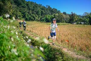 BIB: 
                            <button type="button" onclick="openModal(26631826)" class="btn btn-primary btn-sm float-right btn-popup" data-toggle="modal" data-target=".modal-high-quality">
                        <i class="fas fa-shopping-cart"></i> Add to Cart
                    </button>
                                            <button type="button" onclick="isThisMe(26631826, true)" class="btn btn-success btn-sm float-right btn-popup btn-isme hidden" data-toggle="tooltip" data-placement="bottom" title="นี่คือรูปของคุณใช่ไหม คลิกที่นี่เพื่อเอาเข้าอัลบั้ม">
                        <i class="fas fa-plus"></i> Add to album
                    </button>
                    <button type="button" onclick="isThisMe(26631826, false)" class="btn btn-warning btn-sm float-right btn-popup btn-isnotme hidden">
                        <i class="fas fa-ban"></i> Remove from album
                    </button>