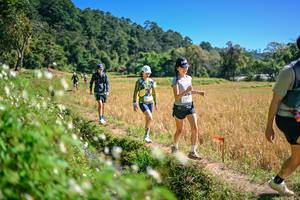 BIB: 
                            <button type="button" onclick="openModal(26632223)" class="btn btn-primary btn-sm float-right btn-popup" data-toggle="modal" data-target=".modal-high-quality">
                        <i class="fas fa-shopping-cart"></i> Add to Cart
                    </button>
                                            <button type="button" onclick="isThisMe(26632223, true)" class="btn btn-success btn-sm float-right btn-popup btn-isme hidden" data-toggle="tooltip" data-placement="bottom" title="นี่คือรูปของคุณใช่ไหม คลิกที่นี่เพื่อเอาเข้าอัลบั้ม">
                        <i class="fas fa-plus"></i> Add to album
                    </button>
                    <button type="button" onclick="isThisMe(26632223, false)" class="btn btn-warning btn-sm float-right btn-popup btn-isnotme hidden">
                        <i class="fas fa-ban"></i> Remove from album
                    </button>