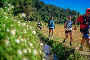 BIB: 
                            <button type="button" onclick="openModal(26623754)" class="btn btn-primary btn-sm float-right btn-popup" data-toggle="modal" data-target=".modal-high-quality">
                        <i class="fas fa-shopping-cart"></i> Add to Cart
                    </button>
                                            <button type="button" onclick="isThisMe(26623754, true)" class="btn btn-success btn-sm float-right btn-popup btn-isme hidden" data-toggle="tooltip" data-placement="bottom" title="นี่คือรูปของคุณใช่ไหม คลิกที่นี่เพื่อเอาเข้าอัลบั้ม">
                        <i class="fas fa-plus"></i> Add to album
                    </button>
                    <button type="button" onclick="isThisMe(26623754, false)" class="btn btn-warning btn-sm float-right btn-popup btn-isnotme hidden">
                        <i class="fas fa-ban"></i> Remove from album
                    </button>