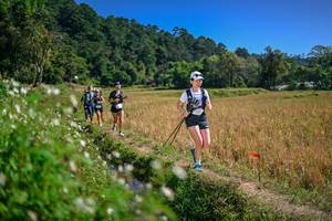 BIB: 
                            <button type="button" onclick="openModal(26624958)" class="btn btn-primary btn-sm float-right btn-popup" data-toggle="modal" data-target=".modal-high-quality">
                        <i class="fas fa-shopping-cart"></i> Add to Cart
                    </button>
                                            <button type="button" onclick="isThisMe(26624958, true)" class="btn btn-success btn-sm float-right btn-popup btn-isme hidden" data-toggle="tooltip" data-placement="bottom" title="นี่คือรูปของคุณใช่ไหม คลิกที่นี่เพื่อเอาเข้าอัลบั้ม">
                        <i class="fas fa-plus"></i> Add to album
                    </button>
                    <button type="button" onclick="isThisMe(26624958, false)" class="btn btn-warning btn-sm float-right btn-popup btn-isnotme hidden">
                        <i class="fas fa-ban"></i> Remove from album
                    </button>