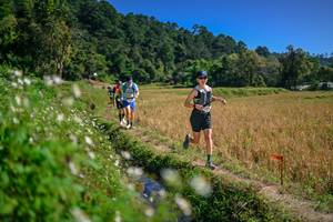 BIB: 
                            <button type="button" onclick="openModal(26624798)" class="btn btn-primary btn-sm float-right btn-popup" data-toggle="modal" data-target=".modal-high-quality">
                        <i class="fas fa-shopping-cart"></i> Add to Cart
                    </button>
                                            <button type="button" onclick="isThisMe(26624798, true)" class="btn btn-success btn-sm float-right btn-popup btn-isme hidden" data-toggle="tooltip" data-placement="bottom" title="นี่คือรูปของคุณใช่ไหม คลิกที่นี่เพื่อเอาเข้าอัลบั้ม">
                        <i class="fas fa-plus"></i> Add to album
                    </button>
                    <button type="button" onclick="isThisMe(26624798, false)" class="btn btn-warning btn-sm float-right btn-popup btn-isnotme hidden">
                        <i class="fas fa-ban"></i> Remove from album
                    </button>