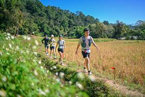 BIB: 
                            <button type="button" onclick="openModal(26632225)" class="btn btn-primary btn-sm float-right btn-popup" data-toggle="modal" data-target=".modal-high-quality">
                        <i class="fas fa-shopping-cart"></i> Add to Cart
                    </button>
                                            <button type="button" onclick="isThisMe(26632225, true)" class="btn btn-success btn-sm float-right btn-popup btn-isme hidden" data-toggle="tooltip" data-placement="bottom" title="นี่คือรูปของคุณใช่ไหม คลิกที่นี่เพื่อเอาเข้าอัลบั้ม">
                        <i class="fas fa-plus"></i> Add to album
                    </button>
                    <button type="button" onclick="isThisMe(26632225, false)" class="btn btn-warning btn-sm float-right btn-popup btn-isnotme hidden">
                        <i class="fas fa-ban"></i> Remove from album
                    </button>