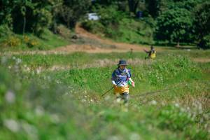 BIB: 
                            <button type="button" onclick="openModal(26770375)" class="btn btn-primary btn-sm float-right btn-popup" data-toggle="modal" data-target=".modal-high-quality">
                        <i class="fas fa-shopping-cart"></i> Add to Cart
                    </button>
                                            <button type="button" onclick="isThisMe(26770375, true)" class="btn btn-success btn-sm float-right btn-popup btn-isme hidden" data-toggle="tooltip" data-placement="bottom" title="นี่คือรูปของคุณใช่ไหม คลิกที่นี่เพื่อเอาเข้าอัลบั้ม">
                        <i class="fas fa-plus"></i> Add to album
                    </button>
                    <button type="button" onclick="isThisMe(26770375, false)" class="btn btn-warning btn-sm float-right btn-popup btn-isnotme hidden">
                        <i class="fas fa-ban"></i> Remove from album
                    </button>