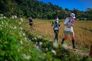 BIB: 
                            <button type="button" onclick="openModal(26624136)" class="btn btn-primary btn-sm float-right btn-popup" data-toggle="modal" data-target=".modal-high-quality">
                        <i class="fas fa-shopping-cart"></i> Add to Cart
                    </button>
                                            <button type="button" onclick="isThisMe(26624136, true)" class="btn btn-success btn-sm float-right btn-popup btn-isme hidden" data-toggle="tooltip" data-placement="bottom" title="นี่คือรูปของคุณใช่ไหม คลิกที่นี่เพื่อเอาเข้าอัลบั้ม">
                        <i class="fas fa-plus"></i> Add to album
                    </button>
                    <button type="button" onclick="isThisMe(26624136, false)" class="btn btn-warning btn-sm float-right btn-popup btn-isnotme hidden">
                        <i class="fas fa-ban"></i> Remove from album
                    </button>