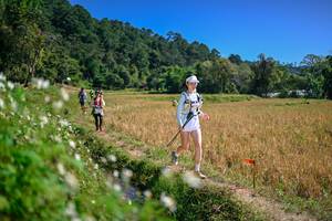 BIB: 
                            <button type="button" onclick="openModal(26633842)" class="btn btn-primary btn-sm float-right btn-popup" data-toggle="modal" data-target=".modal-high-quality">
                        <i class="fas fa-shopping-cart"></i> Add to Cart
                    </button>
                                            <button type="button" onclick="isThisMe(26633842, true)" class="btn btn-success btn-sm float-right btn-popup btn-isme hidden" data-toggle="tooltip" data-placement="bottom" title="นี่คือรูปของคุณใช่ไหม คลิกที่นี่เพื่อเอาเข้าอัลบั้ม">
                        <i class="fas fa-plus"></i> Add to album
                    </button>
                    <button type="button" onclick="isThisMe(26633842, false)" class="btn btn-warning btn-sm float-right btn-popup btn-isnotme hidden">
                        <i class="fas fa-ban"></i> Remove from album
                    </button>