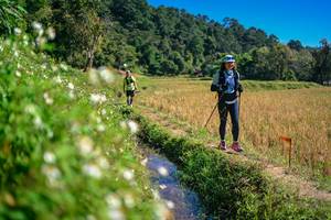 BIB: 
                            <button type="button" onclick="openModal(26623800)" class="btn btn-primary btn-sm float-right btn-popup" data-toggle="modal" data-target=".modal-high-quality">
                        <i class="fas fa-shopping-cart"></i> Add to Cart
                    </button>
                                            <button type="button" onclick="isThisMe(26623800, true)" class="btn btn-success btn-sm float-right btn-popup btn-isme hidden" data-toggle="tooltip" data-placement="bottom" title="นี่คือรูปของคุณใช่ไหม คลิกที่นี่เพื่อเอาเข้าอัลบั้ม">
                        <i class="fas fa-plus"></i> Add to album
                    </button>
                    <button type="button" onclick="isThisMe(26623800, false)" class="btn btn-warning btn-sm float-right btn-popup btn-isnotme hidden">
                        <i class="fas fa-ban"></i> Remove from album
                    </button>