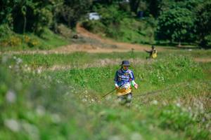 BIB: 
                            <button type="button" onclick="openModal(26770377)" class="btn btn-primary btn-sm float-right btn-popup" data-toggle="modal" data-target=".modal-high-quality">
                        <i class="fas fa-shopping-cart"></i> Add to Cart
                    </button>
                                            <button type="button" onclick="isThisMe(26770377, true)" class="btn btn-success btn-sm float-right btn-popup btn-isme hidden" data-toggle="tooltip" data-placement="bottom" title="นี่คือรูปของคุณใช่ไหม คลิกที่นี่เพื่อเอาเข้าอัลบั้ม">
                        <i class="fas fa-plus"></i> Add to album
                    </button>
                    <button type="button" onclick="isThisMe(26770377, false)" class="btn btn-warning btn-sm float-right btn-popup btn-isnotme hidden">
                        <i class="fas fa-ban"></i> Remove from album
                    </button>