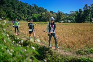 BIB: 
                            <button type="button" onclick="openModal(26631969)" class="btn btn-primary btn-sm float-right btn-popup" data-toggle="modal" data-target=".modal-high-quality">
                        <i class="fas fa-shopping-cart"></i> Add to Cart
                    </button>
                                            <button type="button" onclick="isThisMe(26631969, true)" class="btn btn-success btn-sm float-right btn-popup btn-isme hidden" data-toggle="tooltip" data-placement="bottom" title="นี่คือรูปของคุณใช่ไหม คลิกที่นี่เพื่อเอาเข้าอัลบั้ม">
                        <i class="fas fa-plus"></i> Add to album
                    </button>
                    <button type="button" onclick="isThisMe(26631969, false)" class="btn btn-warning btn-sm float-right btn-popup btn-isnotme hidden">
                        <i class="fas fa-ban"></i> Remove from album
                    </button>