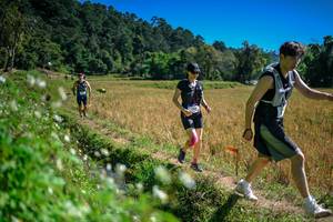 BIB: 
                            <button type="button" onclick="openModal(26624062)" class="btn btn-primary btn-sm float-right btn-popup" data-toggle="modal" data-target=".modal-high-quality">
                        <i class="fas fa-shopping-cart"></i> Add to Cart
                    </button>
                                            <button type="button" onclick="isThisMe(26624062, true)" class="btn btn-success btn-sm float-right btn-popup btn-isme hidden" data-toggle="tooltip" data-placement="bottom" title="นี่คือรูปของคุณใช่ไหม คลิกที่นี่เพื่อเอาเข้าอัลบั้ม">
                        <i class="fas fa-plus"></i> Add to album
                    </button>
                    <button type="button" onclick="isThisMe(26624062, false)" class="btn btn-warning btn-sm float-right btn-popup btn-isnotme hidden">
                        <i class="fas fa-ban"></i> Remove from album
                    </button>