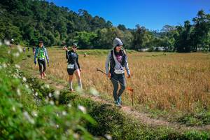 BIB: 
                            <button type="button" onclick="openModal(26631962)" class="btn btn-primary btn-sm float-right btn-popup" data-toggle="modal" data-target=".modal-high-quality">
                        <i class="fas fa-shopping-cart"></i> Add to Cart
                    </button>
                                            <button type="button" onclick="isThisMe(26631962, true)" class="btn btn-success btn-sm float-right btn-popup btn-isme hidden" data-toggle="tooltip" data-placement="bottom" title="นี่คือรูปของคุณใช่ไหม คลิกที่นี่เพื่อเอาเข้าอัลบั้ม">
                        <i class="fas fa-plus"></i> Add to album
                    </button>
                    <button type="button" onclick="isThisMe(26631962, false)" class="btn btn-warning btn-sm float-right btn-popup btn-isnotme hidden">
                        <i class="fas fa-ban"></i> Remove from album
                    </button>