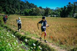 BIB: 
                            <button type="button" onclick="openModal(26623884)" class="btn btn-primary btn-sm float-right btn-popup" data-toggle="modal" data-target=".modal-high-quality">
                        <i class="fas fa-shopping-cart"></i> Add to Cart
                    </button>
                                            <button type="button" onclick="isThisMe(26623884, true)" class="btn btn-success btn-sm float-right btn-popup btn-isme hidden" data-toggle="tooltip" data-placement="bottom" title="นี่คือรูปของคุณใช่ไหม คลิกที่นี่เพื่อเอาเข้าอัลบั้ม">
                        <i class="fas fa-plus"></i> Add to album
                    </button>
                    <button type="button" onclick="isThisMe(26623884, false)" class="btn btn-warning btn-sm float-right btn-popup btn-isnotme hidden">
                        <i class="fas fa-ban"></i> Remove from album
                    </button>