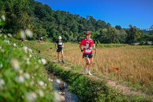 BIB: 
                            <button type="button" onclick="openModal(26632189)" class="btn btn-primary btn-sm float-right btn-popup" data-toggle="modal" data-target=".modal-high-quality">
                        <i class="fas fa-shopping-cart"></i> Add to Cart
                    </button>
                                            <button type="button" onclick="isThisMe(26632189, true)" class="btn btn-success btn-sm float-right btn-popup btn-isme hidden" data-toggle="tooltip" data-placement="bottom" title="นี่คือรูปของคุณใช่ไหม คลิกที่นี่เพื่อเอาเข้าอัลบั้ม">
                        <i class="fas fa-plus"></i> Add to album
                    </button>
                    <button type="button" onclick="isThisMe(26632189, false)" class="btn btn-warning btn-sm float-right btn-popup btn-isnotme hidden">
                        <i class="fas fa-ban"></i> Remove from album
                    </button>