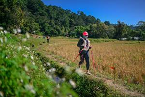 BIB: 
                            <button type="button" onclick="openModal(26624776)" class="btn btn-primary btn-sm float-right btn-popup" data-toggle="modal" data-target=".modal-high-quality">
                        <i class="fas fa-shopping-cart"></i> Add to Cart
                    </button>
                                            <button type="button" onclick="isThisMe(26624776, true)" class="btn btn-success btn-sm float-right btn-popup btn-isme hidden" data-toggle="tooltip" data-placement="bottom" title="นี่คือรูปของคุณใช่ไหม คลิกที่นี่เพื่อเอาเข้าอัลบั้ม">
                        <i class="fas fa-plus"></i> Add to album
                    </button>
                    <button type="button" onclick="isThisMe(26624776, false)" class="btn btn-warning btn-sm float-right btn-popup btn-isnotme hidden">
                        <i class="fas fa-ban"></i> Remove from album
                    </button>