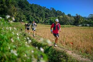 BIB: 
                            <button type="button" onclick="openModal(26632416)" class="btn btn-primary btn-sm float-right btn-popup" data-toggle="modal" data-target=".modal-high-quality">
                        <i class="fas fa-shopping-cart"></i> Add to Cart
                    </button>
                                            <button type="button" onclick="isThisMe(26632416, true)" class="btn btn-success btn-sm float-right btn-popup btn-isme hidden" data-toggle="tooltip" data-placement="bottom" title="นี่คือรูปของคุณใช่ไหม คลิกที่นี่เพื่อเอาเข้าอัลบั้ม">
                        <i class="fas fa-plus"></i> Add to album
                    </button>
                    <button type="button" onclick="isThisMe(26632416, false)" class="btn btn-warning btn-sm float-right btn-popup btn-isnotme hidden">
                        <i class="fas fa-ban"></i> Remove from album
                    </button>