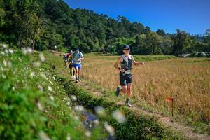 BIB: 
                            <button type="button" onclick="openModal(26624804)" class="btn btn-primary btn-sm float-right btn-popup" data-toggle="modal" data-target=".modal-high-quality">
                        <i class="fas fa-shopping-cart"></i> Add to Cart
                    </button>
                                            <button type="button" onclick="isThisMe(26624804, true)" class="btn btn-success btn-sm float-right btn-popup btn-isme hidden" data-toggle="tooltip" data-placement="bottom" title="นี่คือรูปของคุณใช่ไหม คลิกที่นี่เพื่อเอาเข้าอัลบั้ม">
                        <i class="fas fa-plus"></i> Add to album
                    </button>
                    <button type="button" onclick="isThisMe(26624804, false)" class="btn btn-warning btn-sm float-right btn-popup btn-isnotme hidden">
                        <i class="fas fa-ban"></i> Remove from album
                    </button>