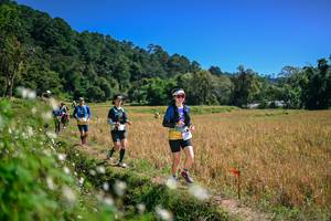 BIB: 
                            <button type="button" onclick="openModal(26633670)" class="btn btn-primary btn-sm float-right btn-popup" data-toggle="modal" data-target=".modal-high-quality">
                        <i class="fas fa-shopping-cart"></i> Add to Cart
                    </button>
                                            <button type="button" onclick="isThisMe(26633670, true)" class="btn btn-success btn-sm float-right btn-popup btn-isme hidden" data-toggle="tooltip" data-placement="bottom" title="นี่คือรูปของคุณใช่ไหม คลิกที่นี่เพื่อเอาเข้าอัลบั้ม">
                        <i class="fas fa-plus"></i> Add to album
                    </button>
                    <button type="button" onclick="isThisMe(26633670, false)" class="btn btn-warning btn-sm float-right btn-popup btn-isnotme hidden">
                        <i class="fas fa-ban"></i> Remove from album
                    </button>