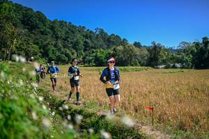 BIB: 
                            <button type="button" onclick="openModal(26633679)" class="btn btn-primary btn-sm float-right btn-popup" data-toggle="modal" data-target=".modal-high-quality">
                        <i class="fas fa-shopping-cart"></i> Add to Cart
                    </button>
                                            <button type="button" onclick="isThisMe(26633679, true)" class="btn btn-success btn-sm float-right btn-popup btn-isme hidden" data-toggle="tooltip" data-placement="bottom" title="นี่คือรูปของคุณใช่ไหม คลิกที่นี่เพื่อเอาเข้าอัลบั้ม">
                        <i class="fas fa-plus"></i> Add to album
                    </button>
                    <button type="button" onclick="isThisMe(26633679, false)" class="btn btn-warning btn-sm float-right btn-popup btn-isnotme hidden">
                        <i class="fas fa-ban"></i> Remove from album
                    </button>