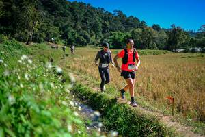 BIB: 
                            <button type="button" onclick="openModal(26623928)" class="btn btn-primary btn-sm float-right btn-popup" data-toggle="modal" data-target=".modal-high-quality">
                        <i class="fas fa-shopping-cart"></i> Add to Cart
                    </button>
                                            <button type="button" onclick="isThisMe(26623928, true)" class="btn btn-success btn-sm float-right btn-popup btn-isme hidden" data-toggle="tooltip" data-placement="bottom" title="นี่คือรูปของคุณใช่ไหม คลิกที่นี่เพื่อเอาเข้าอัลบั้ม">
                        <i class="fas fa-plus"></i> Add to album
                    </button>
                    <button type="button" onclick="isThisMe(26623928, false)" class="btn btn-warning btn-sm float-right btn-popup btn-isnotme hidden">
                        <i class="fas fa-ban"></i> Remove from album
                    </button>