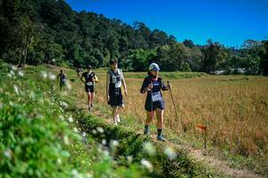 BIB: 
                            <button type="button" onclick="openModal(26624044)" class="btn btn-primary btn-sm float-right btn-popup" data-toggle="modal" data-target=".modal-high-quality">
                        <i class="fas fa-shopping-cart"></i> Add to Cart
                    </button>
                                            <button type="button" onclick="isThisMe(26624044, true)" class="btn btn-success btn-sm float-right btn-popup btn-isme hidden" data-toggle="tooltip" data-placement="bottom" title="นี่คือรูปของคุณใช่ไหม คลิกที่นี่เพื่อเอาเข้าอัลบั้ม">
                        <i class="fas fa-plus"></i> Add to album
                    </button>
                    <button type="button" onclick="isThisMe(26624044, false)" class="btn btn-warning btn-sm float-right btn-popup btn-isnotme hidden">
                        <i class="fas fa-ban"></i> Remove from album
                    </button>