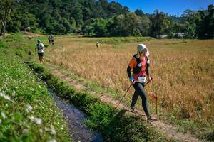 BIB: 
                            <button type="button" onclick="openModal(26632336)" class="btn btn-primary btn-sm float-right btn-popup" data-toggle="modal" data-target=".modal-high-quality">
                        <i class="fas fa-shopping-cart"></i> Add to Cart
                    </button>
                                            <button type="button" onclick="isThisMe(26632336, true)" class="btn btn-success btn-sm float-right btn-popup btn-isme hidden" data-toggle="tooltip" data-placement="bottom" title="นี่คือรูปของคุณใช่ไหม คลิกที่นี่เพื่อเอาเข้าอัลบั้ม">
                        <i class="fas fa-plus"></i> Add to album
                    </button>
                    <button type="button" onclick="isThisMe(26632336, false)" class="btn btn-warning btn-sm float-right btn-popup btn-isnotme hidden">
                        <i class="fas fa-ban"></i> Remove from album
                    </button>