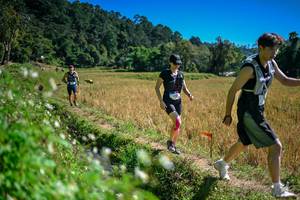 BIB: 
                            <button type="button" onclick="openModal(26624067)" class="btn btn-primary btn-sm float-right btn-popup" data-toggle="modal" data-target=".modal-high-quality">
                        <i class="fas fa-shopping-cart"></i> Add to Cart
                    </button>
                                            <button type="button" onclick="isThisMe(26624067, true)" class="btn btn-success btn-sm float-right btn-popup btn-isme hidden" data-toggle="tooltip" data-placement="bottom" title="นี่คือรูปของคุณใช่ไหม คลิกที่นี่เพื่อเอาเข้าอัลบั้ม">
                        <i class="fas fa-plus"></i> Add to album
                    </button>
                    <button type="button" onclick="isThisMe(26624067, false)" class="btn btn-warning btn-sm float-right btn-popup btn-isnotme hidden">
                        <i class="fas fa-ban"></i> Remove from album
                    </button>