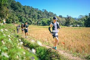 BIB: 
                            <button type="button" onclick="openModal(26632442)" class="btn btn-primary btn-sm float-right btn-popup" data-toggle="modal" data-target=".modal-high-quality">
                        <i class="fas fa-shopping-cart"></i> Add to Cart
                    </button>
                                            <button type="button" onclick="isThisMe(26632442, true)" class="btn btn-success btn-sm float-right btn-popup btn-isme hidden" data-toggle="tooltip" data-placement="bottom" title="นี่คือรูปของคุณใช่ไหม คลิกที่นี่เพื่อเอาเข้าอัลบั้ม">
                        <i class="fas fa-plus"></i> Add to album
                    </button>
                    <button type="button" onclick="isThisMe(26632442, false)" class="btn btn-warning btn-sm float-right btn-popup btn-isnotme hidden">
                        <i class="fas fa-ban"></i> Remove from album
                    </button>