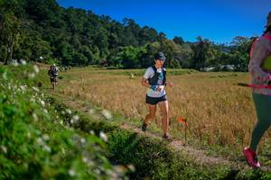 BIB: 
                            <button type="button" onclick="openModal(26624430)" class="btn btn-primary btn-sm float-right btn-popup" data-toggle="modal" data-target=".modal-high-quality">
                        <i class="fas fa-shopping-cart"></i> Add to Cart
                    </button>
                                            <button type="button" onclick="isThisMe(26624430, true)" class="btn btn-success btn-sm float-right btn-popup btn-isme hidden" data-toggle="tooltip" data-placement="bottom" title="นี่คือรูปของคุณใช่ไหม คลิกที่นี่เพื่อเอาเข้าอัลบั้ม">
                        <i class="fas fa-plus"></i> Add to album
                    </button>
                    <button type="button" onclick="isThisMe(26624430, false)" class="btn btn-warning btn-sm float-right btn-popup btn-isnotme hidden">
                        <i class="fas fa-ban"></i> Remove from album
                    </button>