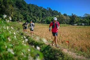 BIB: 
                            <button type="button" onclick="openModal(26632419)" class="btn btn-primary btn-sm float-right btn-popup" data-toggle="modal" data-target=".modal-high-quality">
                        <i class="fas fa-shopping-cart"></i> Add to Cart
                    </button>
                                            <button type="button" onclick="isThisMe(26632419, true)" class="btn btn-success btn-sm float-right btn-popup btn-isme hidden" data-toggle="tooltip" data-placement="bottom" title="นี่คือรูปของคุณใช่ไหม คลิกที่นี่เพื่อเอาเข้าอัลบั้ม">
                        <i class="fas fa-plus"></i> Add to album
                    </button>
                    <button type="button" onclick="isThisMe(26632419, false)" class="btn btn-warning btn-sm float-right btn-popup btn-isnotme hidden">
                        <i class="fas fa-ban"></i> Remove from album
                    </button>